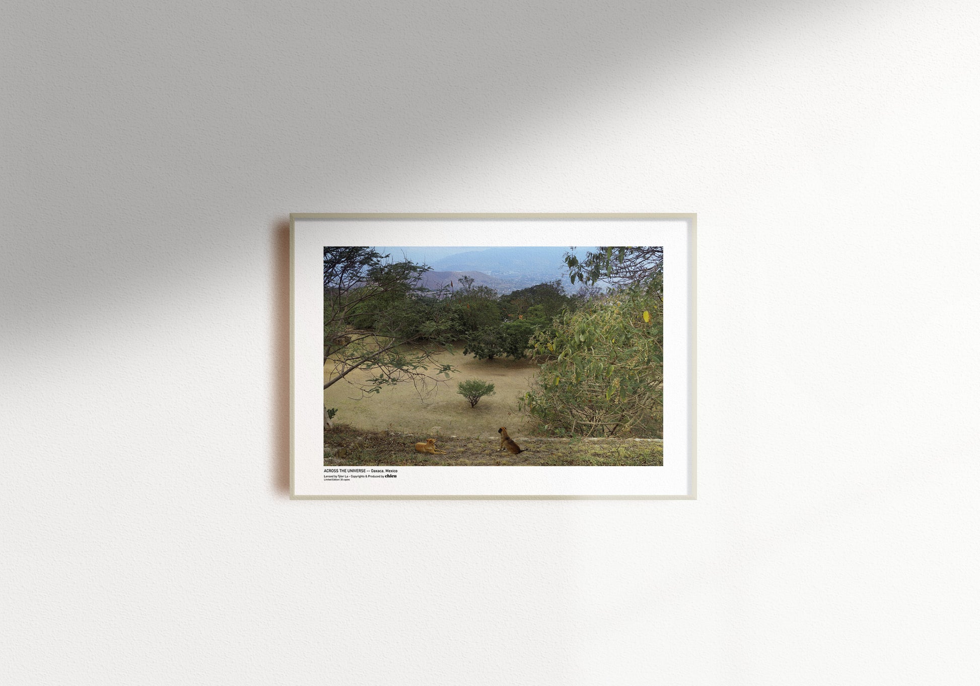 OAXACA, MEXICO NO.2