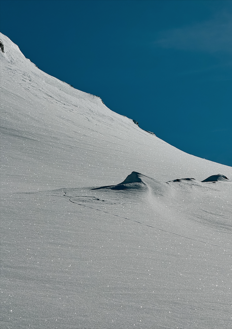 SWISS ALPS NO.1