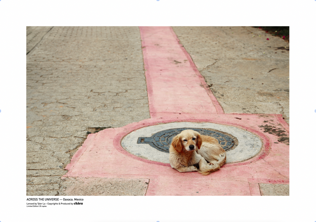 OAXACA, MEXICO NO.1
