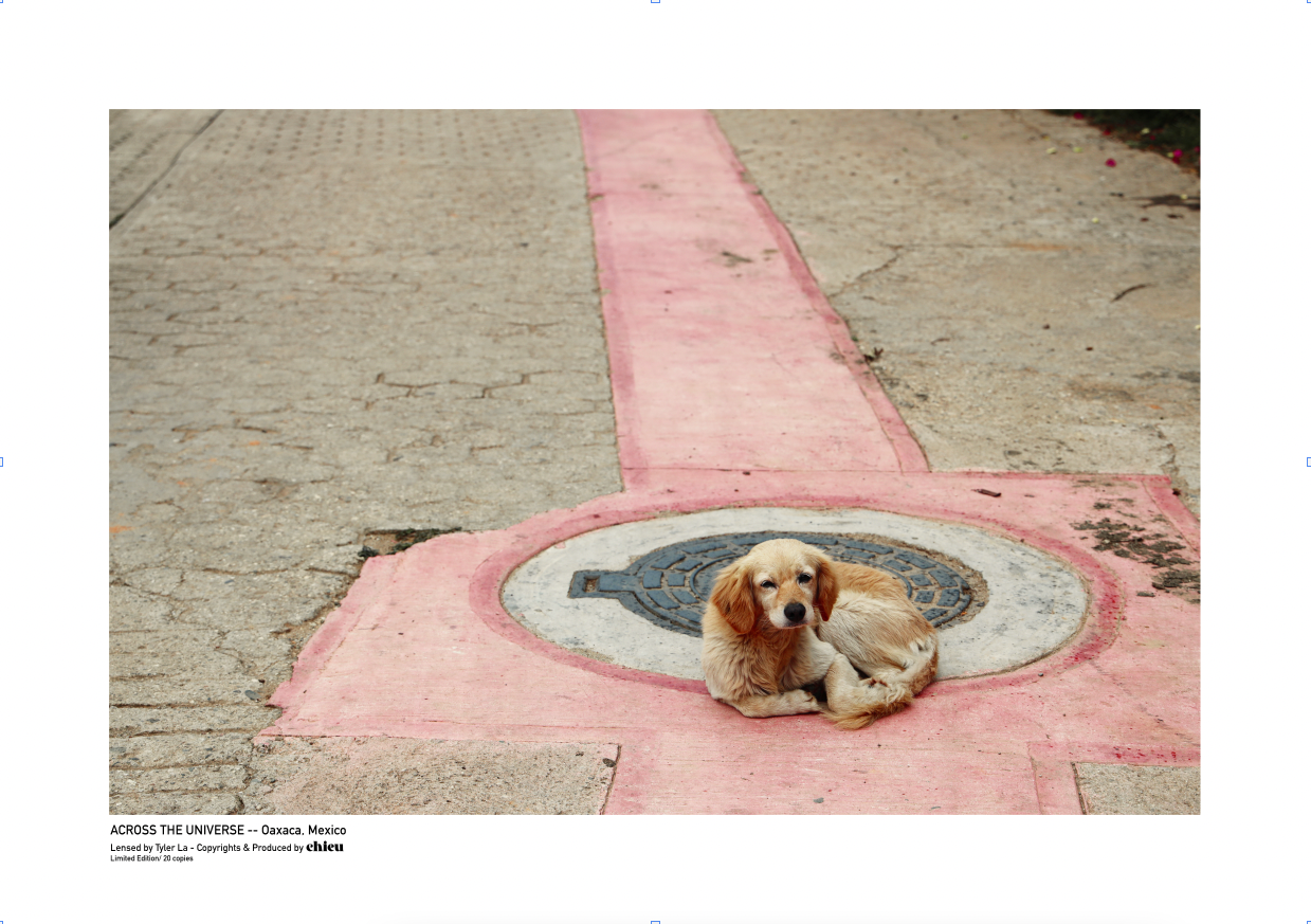 OAXACA, MEXICO NO.1