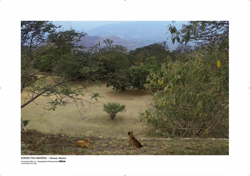 OAXACA, MEXICO NO.2