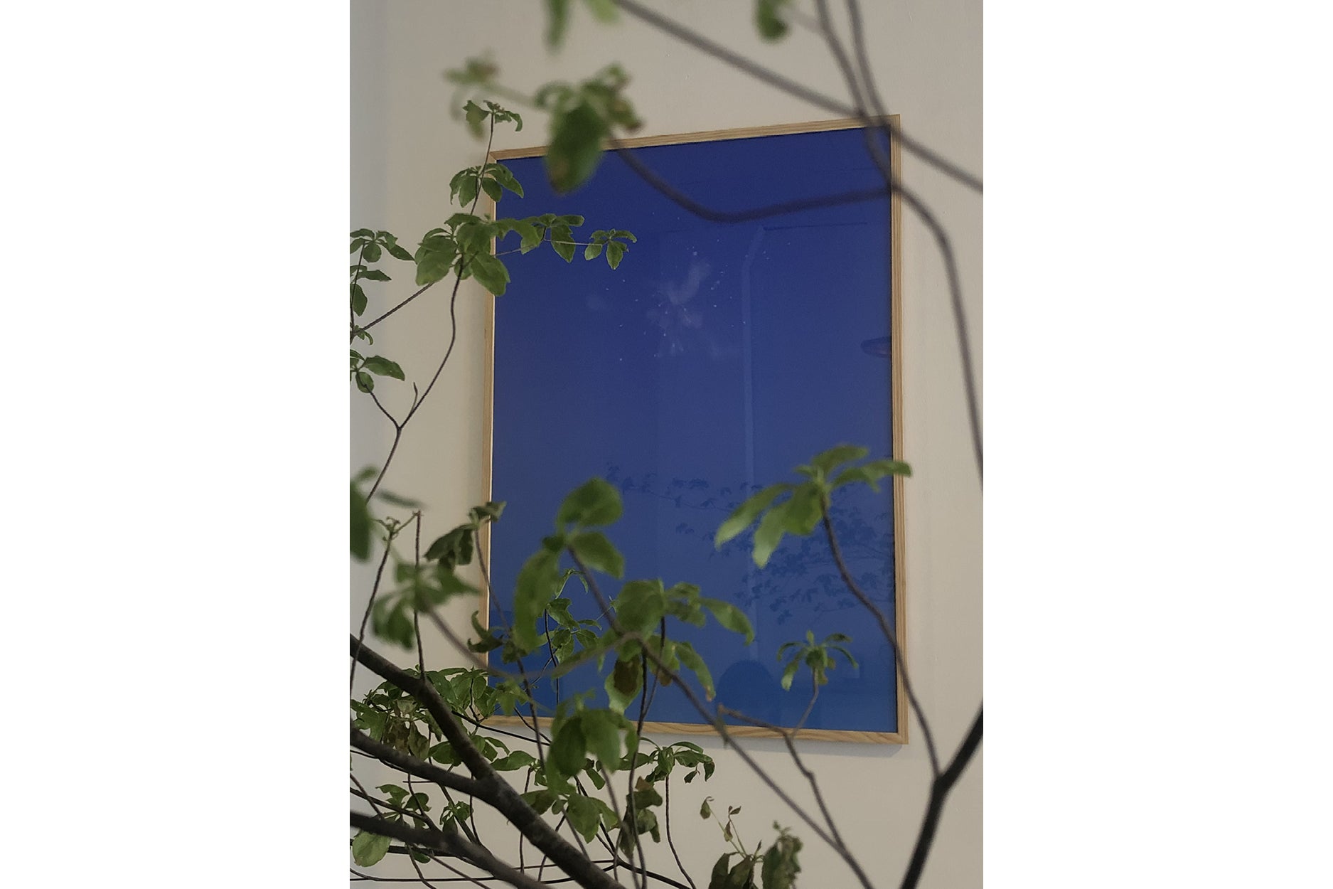 HABIBI (BLUE)