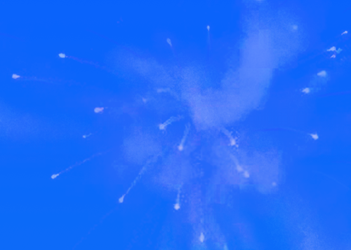HABIBI (BLUE)