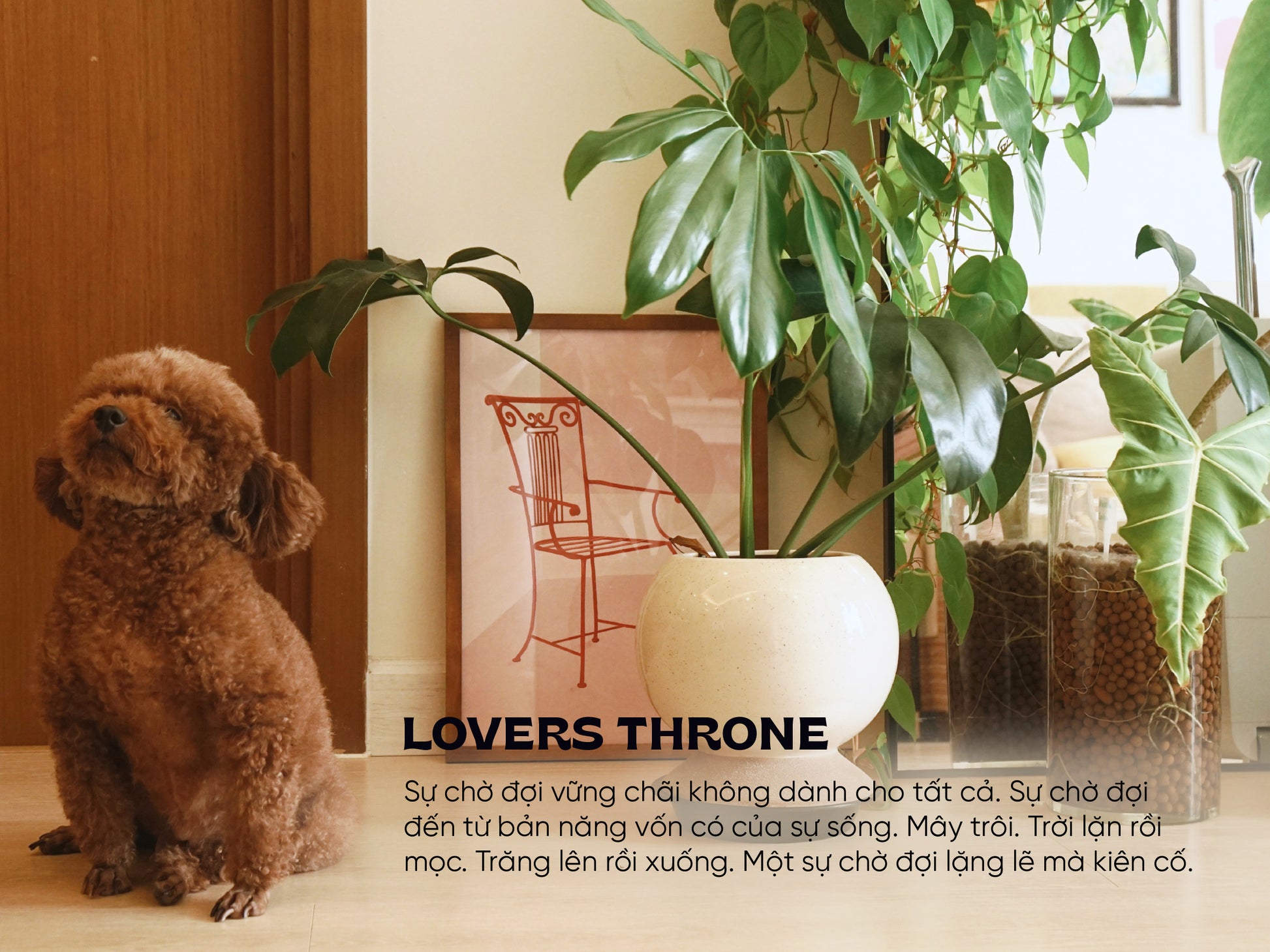 LOVERS THRONE